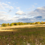 Rosenhanska Magasinet Utomhus