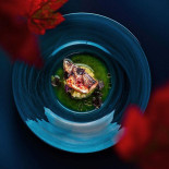 Elins Bakgård Dryck