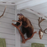 Brasserie Fjällköket Dryck