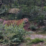 Bassholmens Vandrarhem Utomhus
