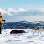 Sibylla Hemavan Dryck