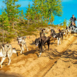 Grand Arctic Utomhus