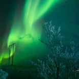 Stejk Street Food Dryck