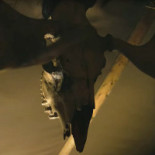 Stejk Street Food Dryck