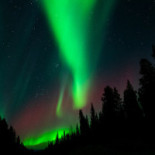 Stejk Street Food Dryck