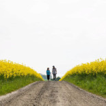 Panorama Cafe Utomhus