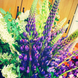 Borgåsunds Gästhamn Och Café Dryck