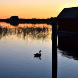 Borgåsunds Gästhamn Och Café Utomhus