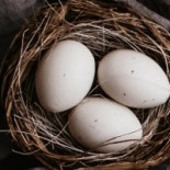 Kopparlundens Bageri Dryck