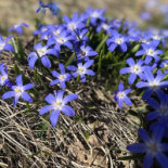 Gammelkroppa Skogsskola Konferens Dryck