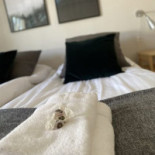 Gammelkroppa Skogsskola Konferens Dryck