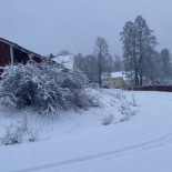 Gammelkroppa Skogsskola Konferens Utomhus