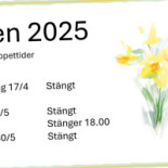 Rallar Rosen Tillberga Logotyp