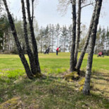 Lasse O Tommy's Golfrestaurang Utomhus