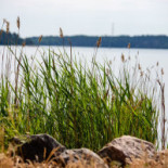 Kapellskärs Stf Vandrarhem Utomhus