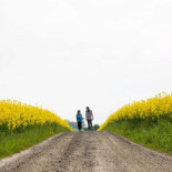 Kapellskärs Stf Vandrarhem Utomhus