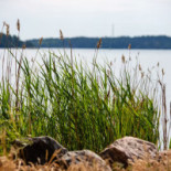 Kapellskärs Stf Vandrarhem Utomhus