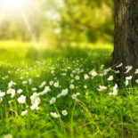 Åtellet I Norrtälje Dryck