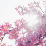 Åtellet I Norrtälje Dryck