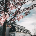 Åtellet I Norrtälje Utomhus