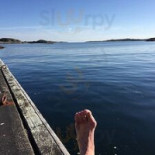 Leva Kungslador Utomhus