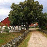 Svanshalls Krog Utomhus