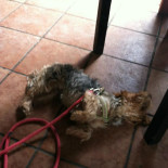 Granliden Mat Vinhus Dryck