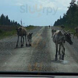 Sibylla Ljusdal Utomhus