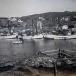 Lejonet Bjornen Akered Inomhus