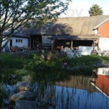 Freadals Trädgårdcafé Utomhus