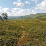 Andersborgs Våffelstuga Utomhus