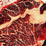 Burger And Chill Dryck