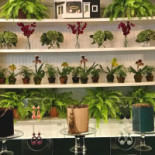 Lucy's Diner Inomhus