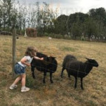 Hallongården Utomhus