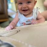 Wrangelska Rocks Dryck