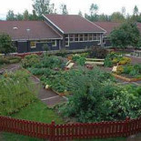 Krogen Stora Gungan Utomhus