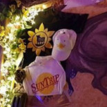 Kök Nyström Utomhus