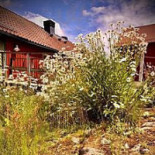 Gunnebo Slott och Trädgårdar Utomhus