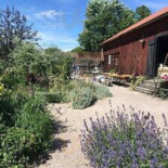 Kröns Trädgård Utomhus