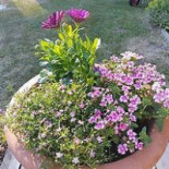 Kröns Trädgård Utomhus