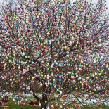 Restaurang Tiger Utomhus