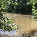 Ekenas Kvarn Cafe Utomhus