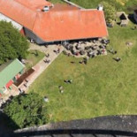 Restaurang Fågel Blå Utomhus