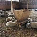 Café I Fårhus Utomhus