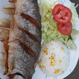 Sunlight Conference Mat