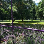 Omnipollos Flora Utomhus