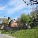 Juniper Tree Utomhus