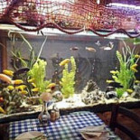 Mazgoof Restaurang Utomhus