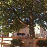 Kallskänken Utomhus