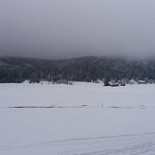 Freadals Trädgårdcafé Utomhus